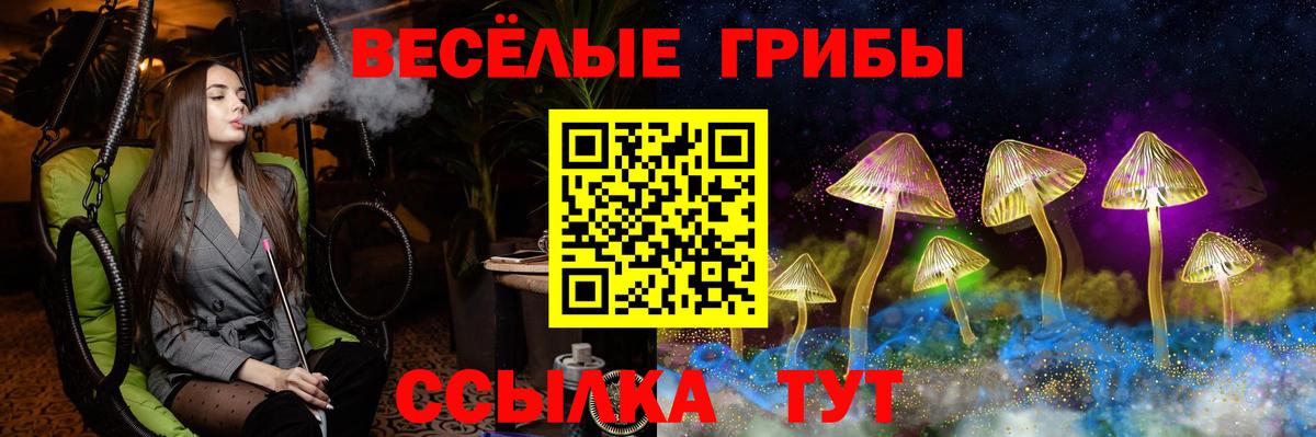 Галлюциногенные грибы Cubensis Россия