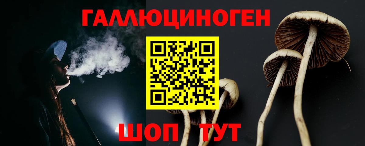 Россия  Галлюциногенные грибы мицелий  Вход с VPN 